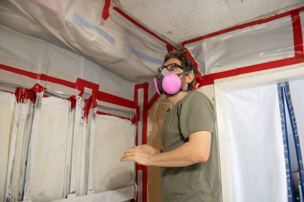 Best Mold Documentation for Insurance Claims  in Dolan Springs, AZ