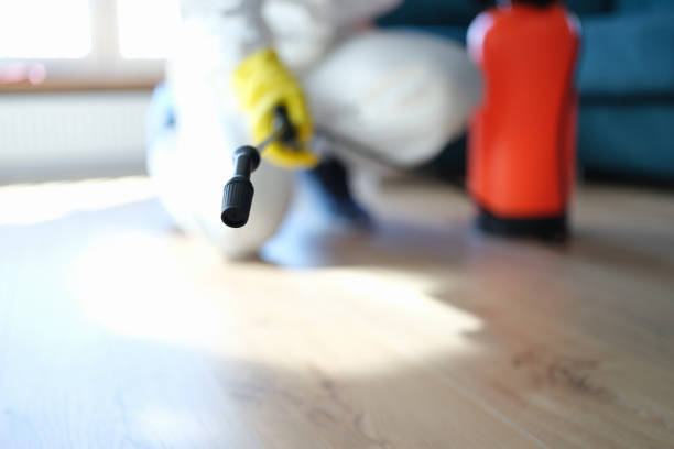 Best Mold Removal for HVAC Installations  in Dolan Springs, AZ