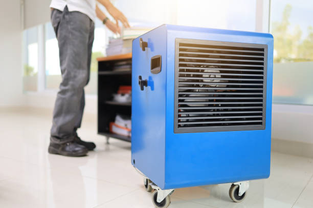 Best Air Quality Testing for Mold Spores  in Dolan Springs, AZ