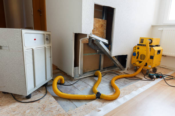 Best Post-Remediation Verification Testing  in Dolan Springs, AZ
